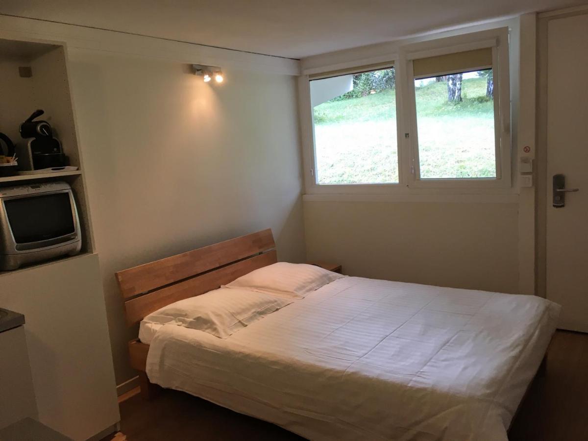 Hotel Pierre Blanche Châtillon-en-Michaille Kültér fotó